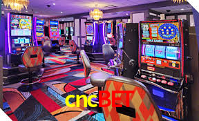 Live Casino cncbet